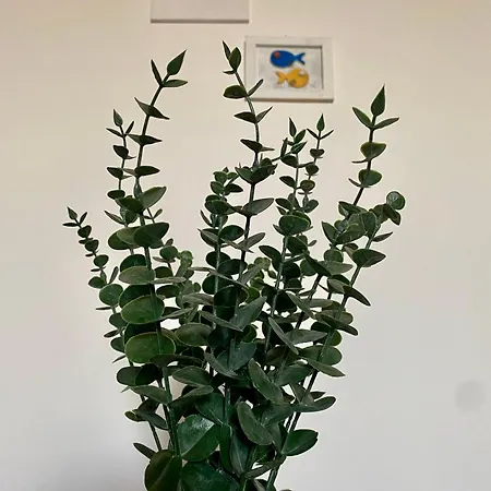 Casa Settembre *